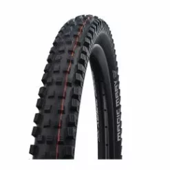 Schwalbe Magic Mary 29