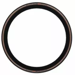 Schwalbe Pro One TLE 700